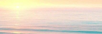 Alberalee's profile banner image