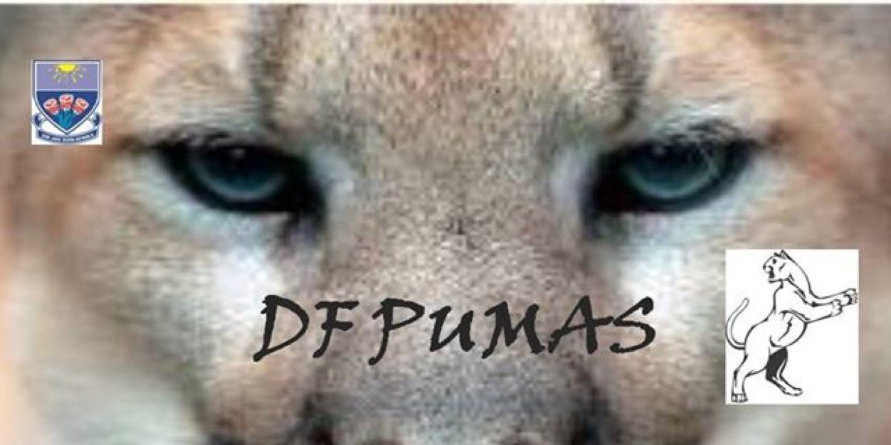 DfPumas's profile banner image
