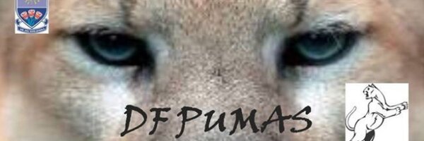 DfPumas Profile Banner