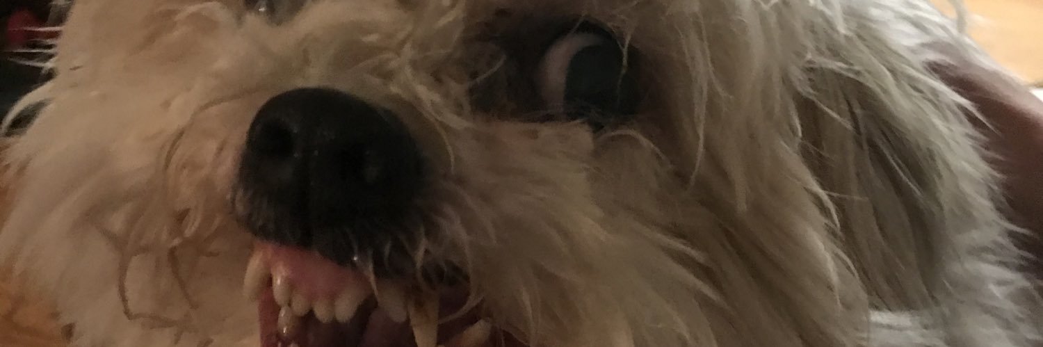 CorizzMa's profile banner image