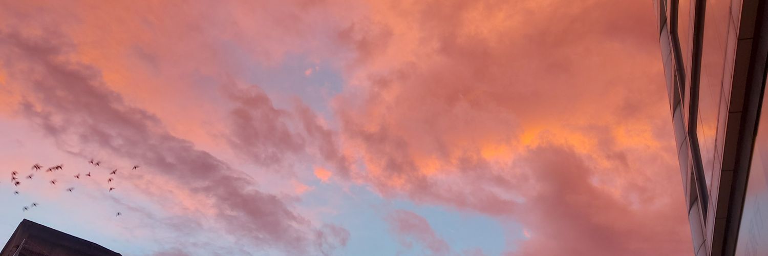 apple22806's profile banner image
