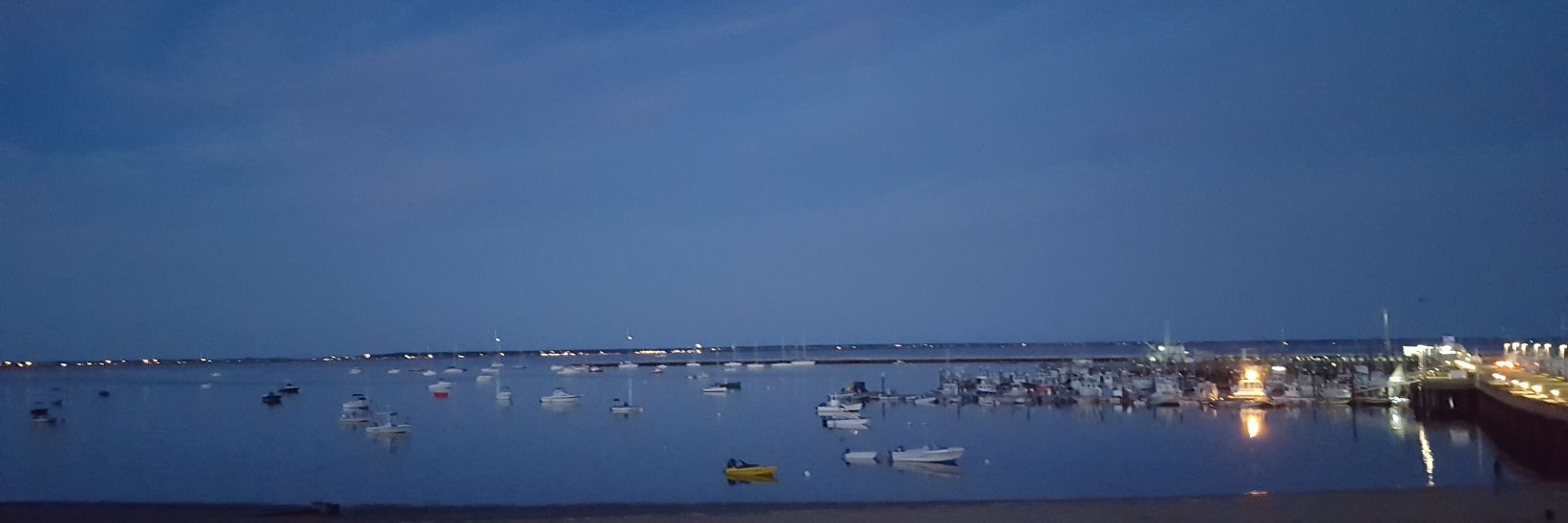 Amanda Brenner banner