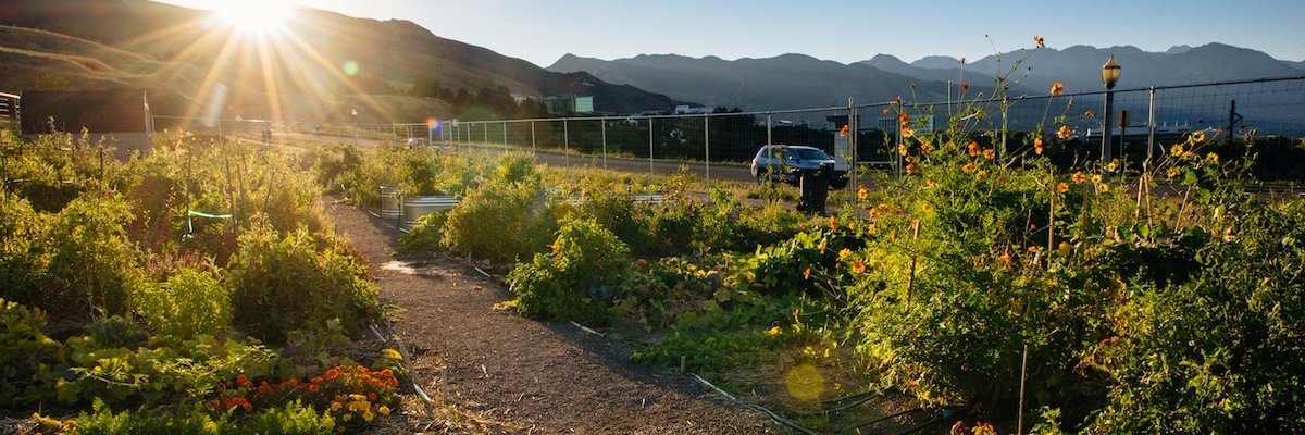 Wasatch Community Gardens banner