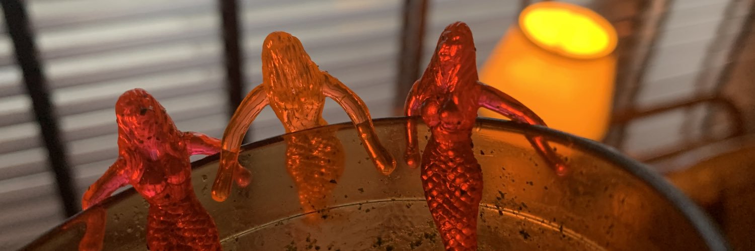 JaniceRossii2R's profile banner image