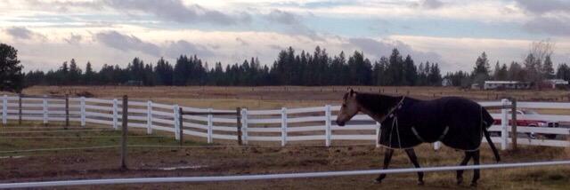 NorthernAmelia's profile banner image