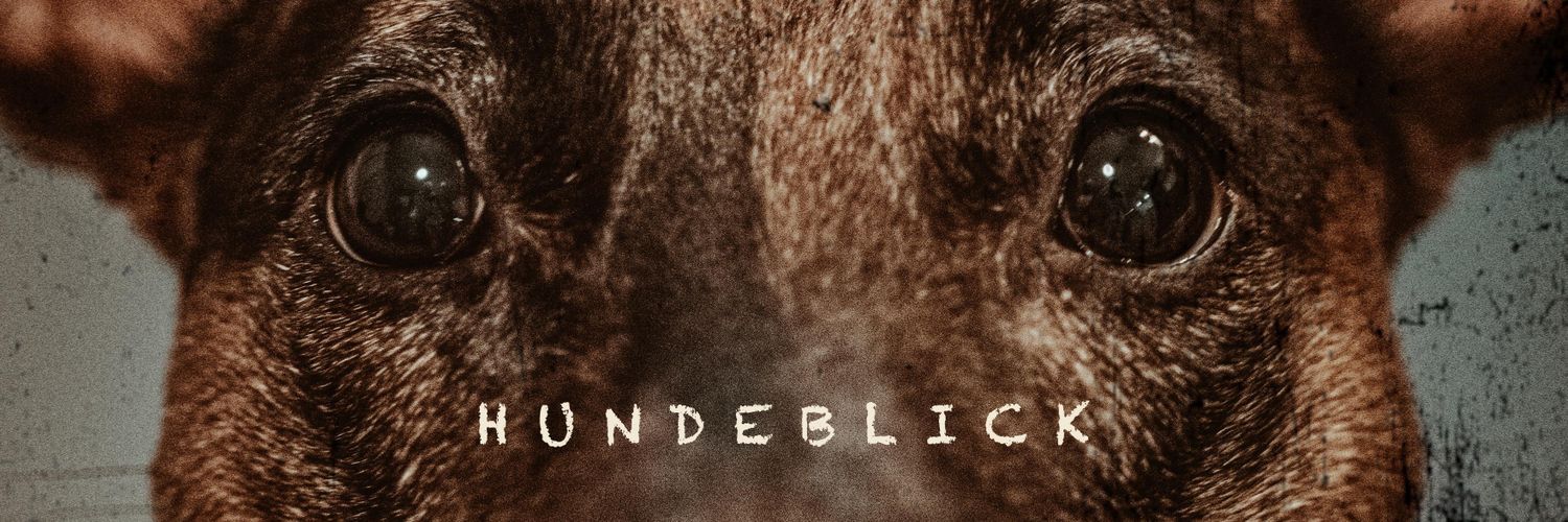 grynade's profile banner image