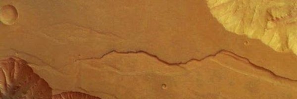 ScientiaPercept Profile Banner