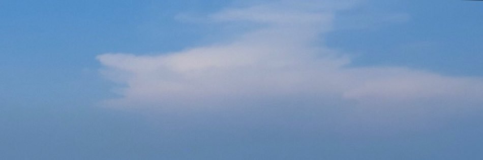 _batoidea_'s profile banner image