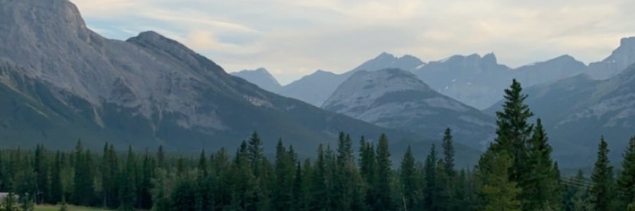 ckonch's profile banner image