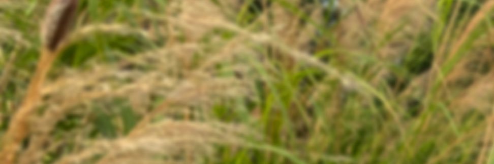 BentyKanu's profile banner image