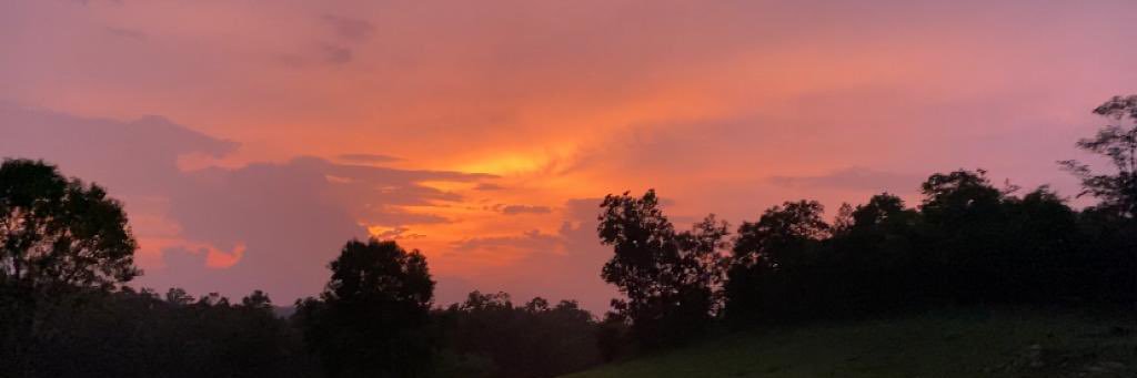 NeelabhCG's profile banner image