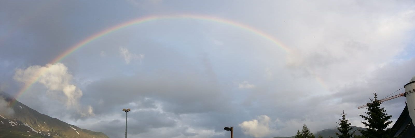 Fenny van Ark banner