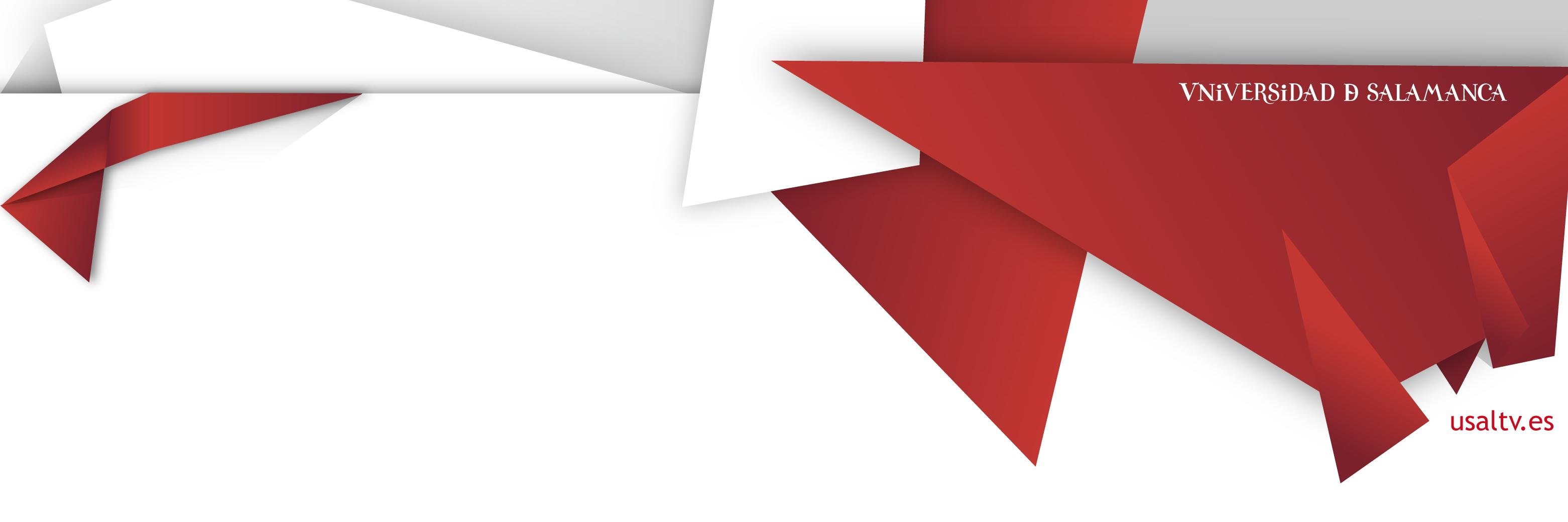 USAL TV banner
