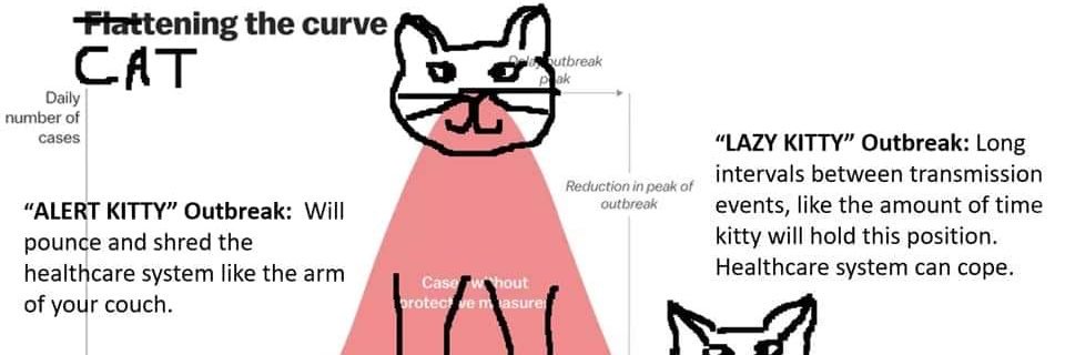 DenverCatCo's profile banner image