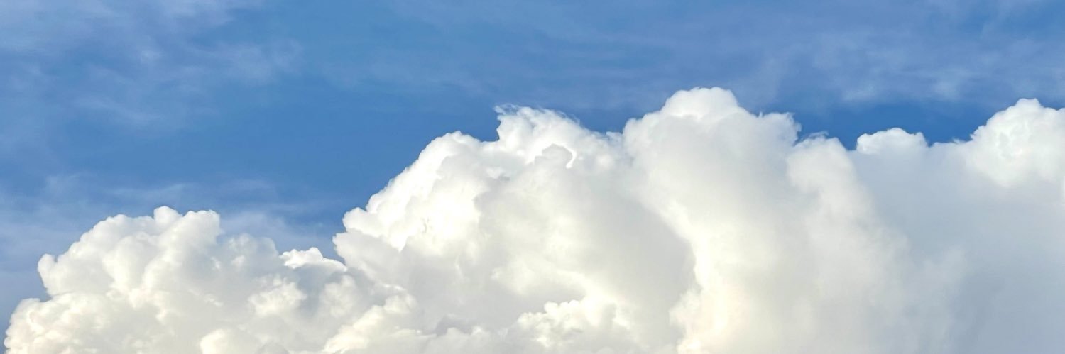 luckilyhapply's profile banner image