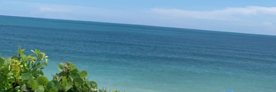 Sfwood12's profile banner image
