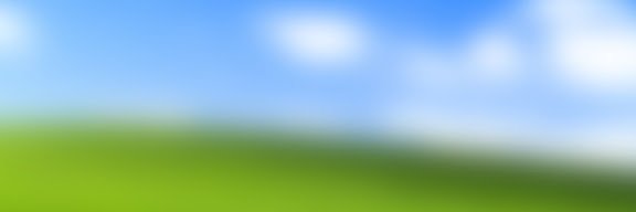sean lee banner