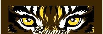 BHS Athletics banner