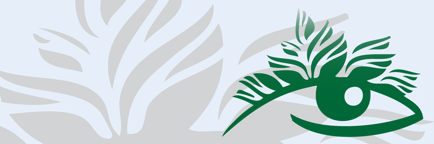 Hollywood Vision Center-Optometry banner