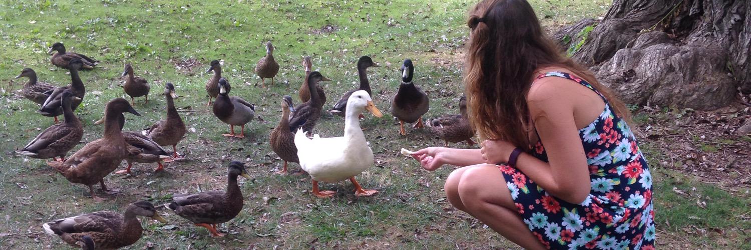 deejthepeep's profile banner image
