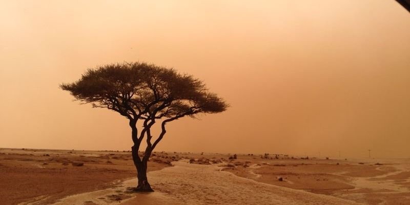 saud5068's profile banner image