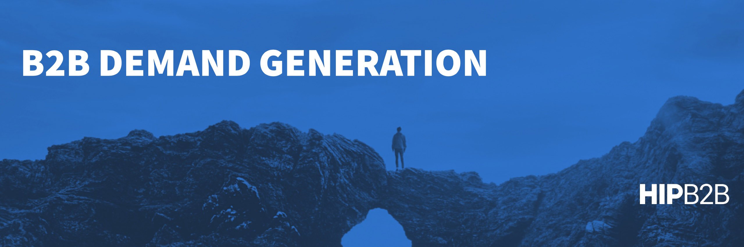 HIPB2B banner