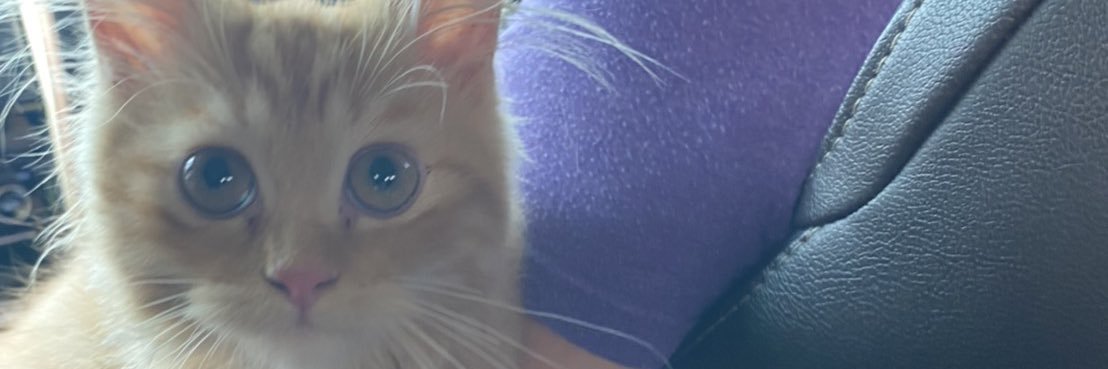 f banner