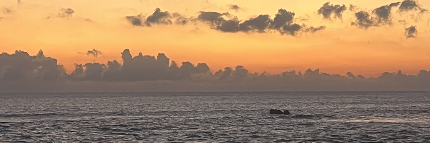 siringo12_'s profile banner image