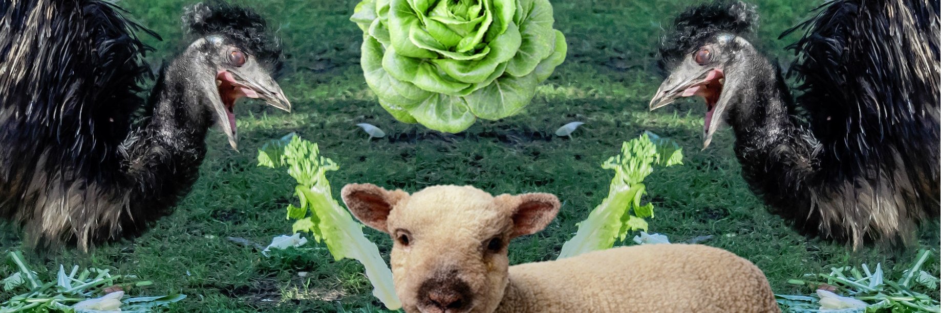 WASDmatter's profile banner image
