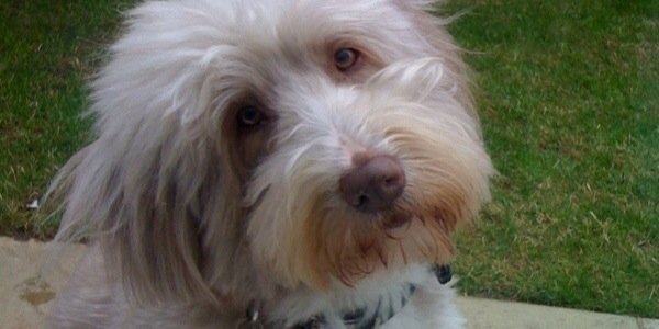 Gill Gauntlett banner