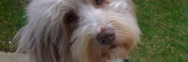 GillGauntlett Profile Banner