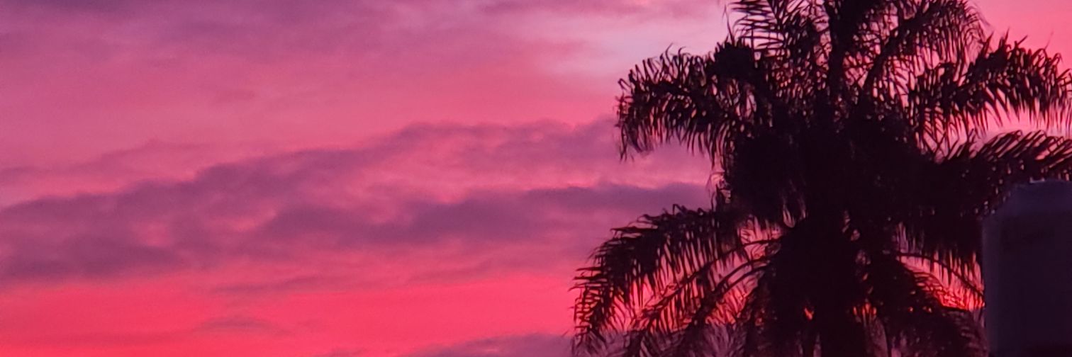 FlorRobledo30's profile banner image