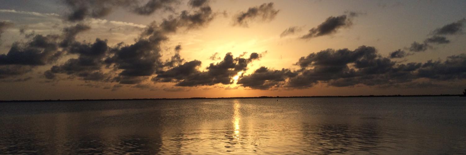 alexfsu09's profile banner image