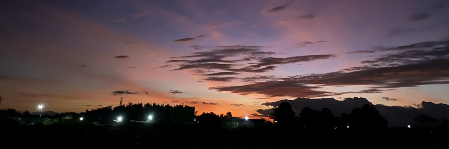 dindatafani's profile banner image