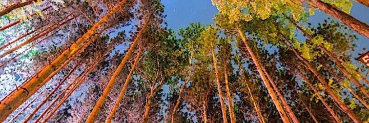 krishan_pall's profile banner image
