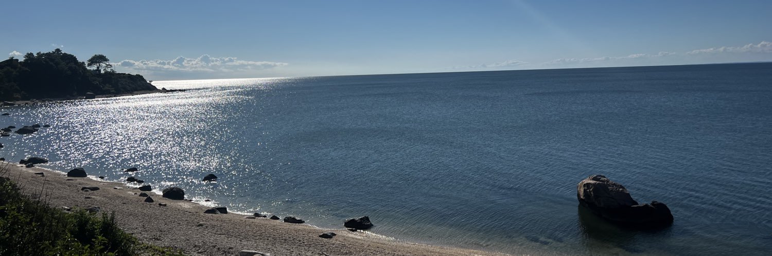 Carlie Buccola banner