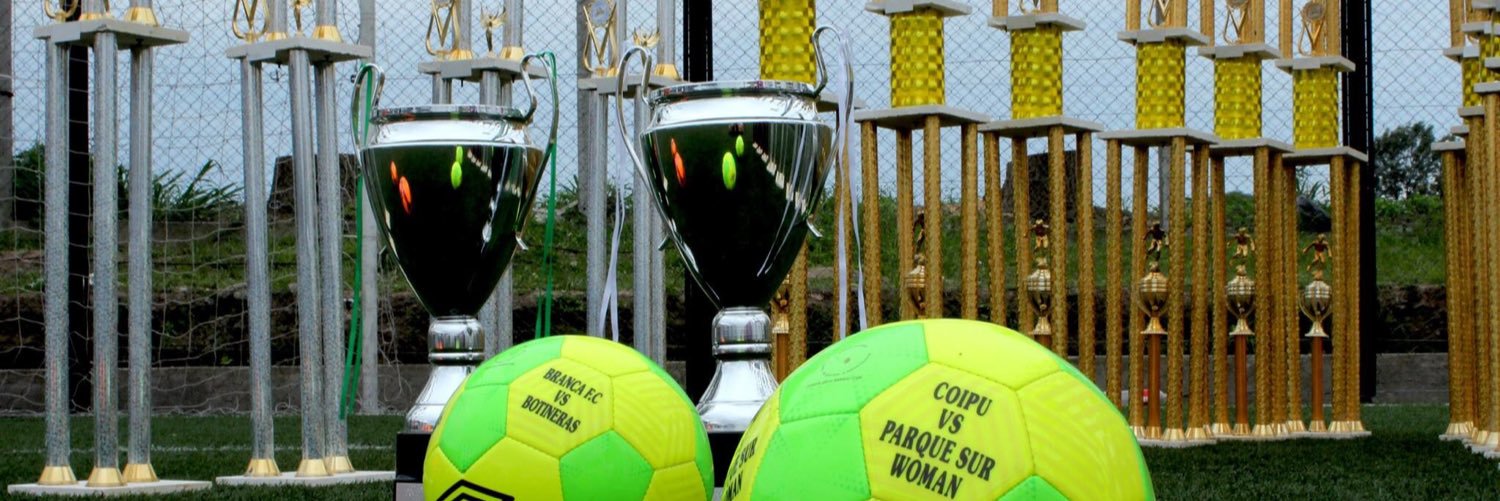 torneolaperonFF's profile banner image