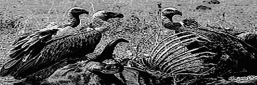 _corpses's profile banner image