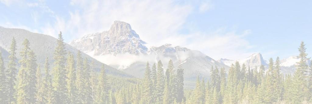 THCbailey's profile banner image