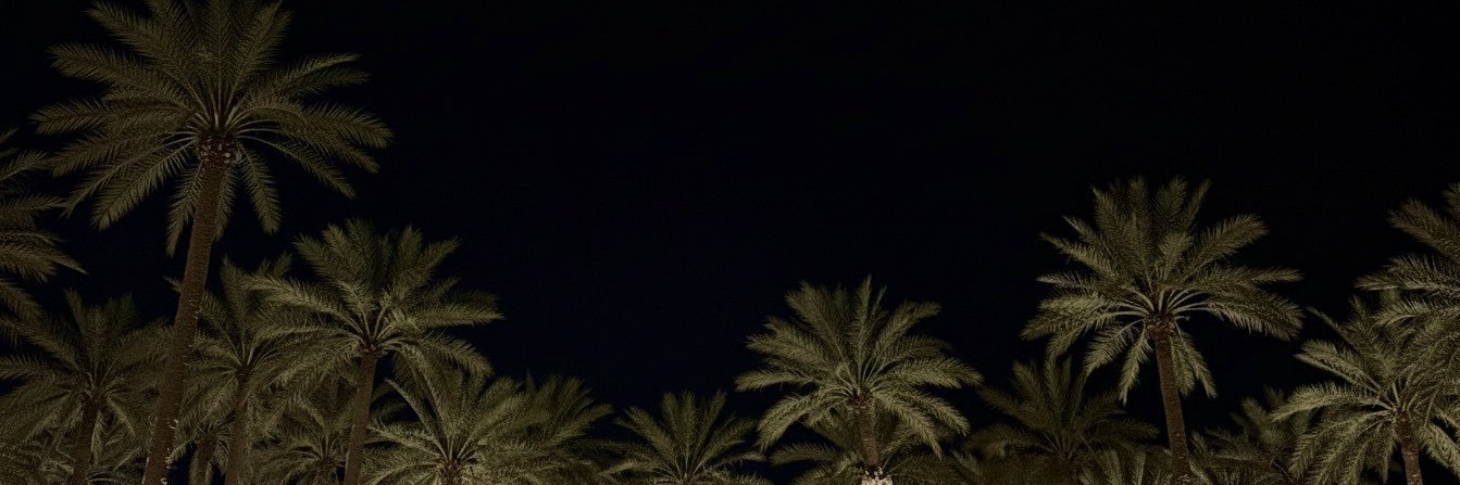 Rfee_2's profile banner image