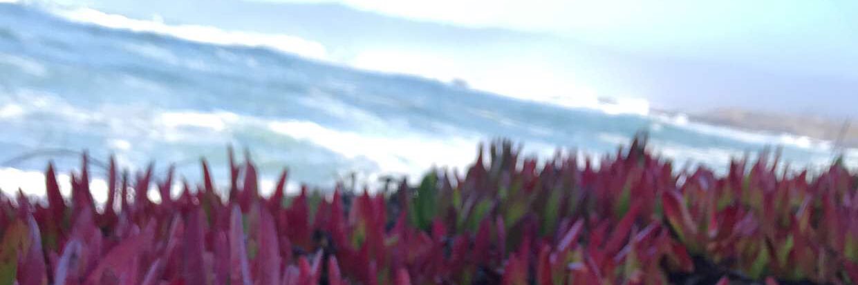 brookewallace44's profile banner image