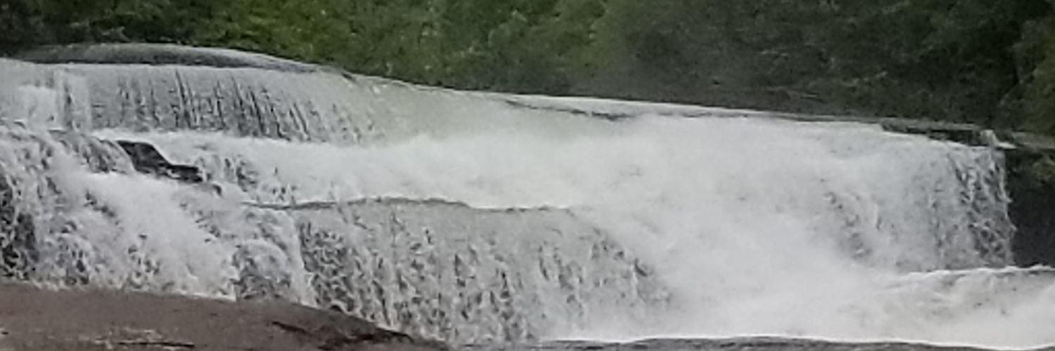 Sean 🌊🌊☕☕🍺🍺🌈💙🐶🇺🇲🦅 Same at 🦋 banner