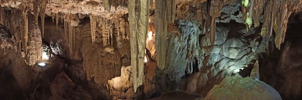 SilviaGabarro Profile Banner