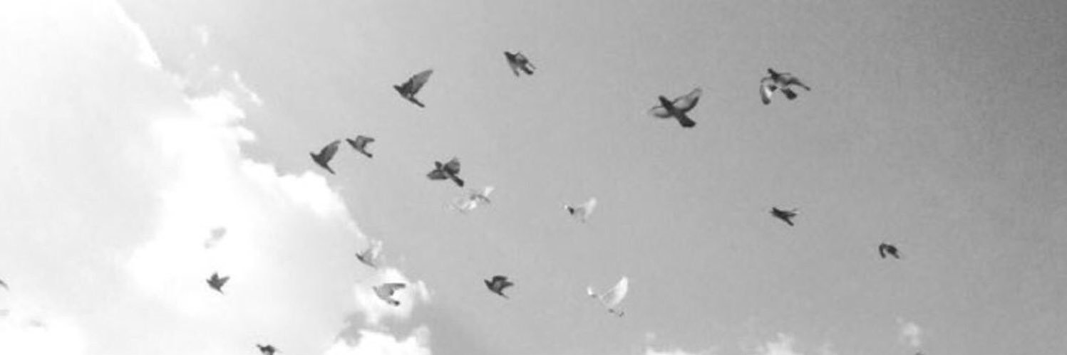 fhod124's profile banner image