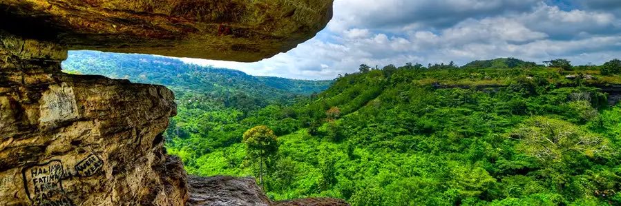 Allen Ellison banner