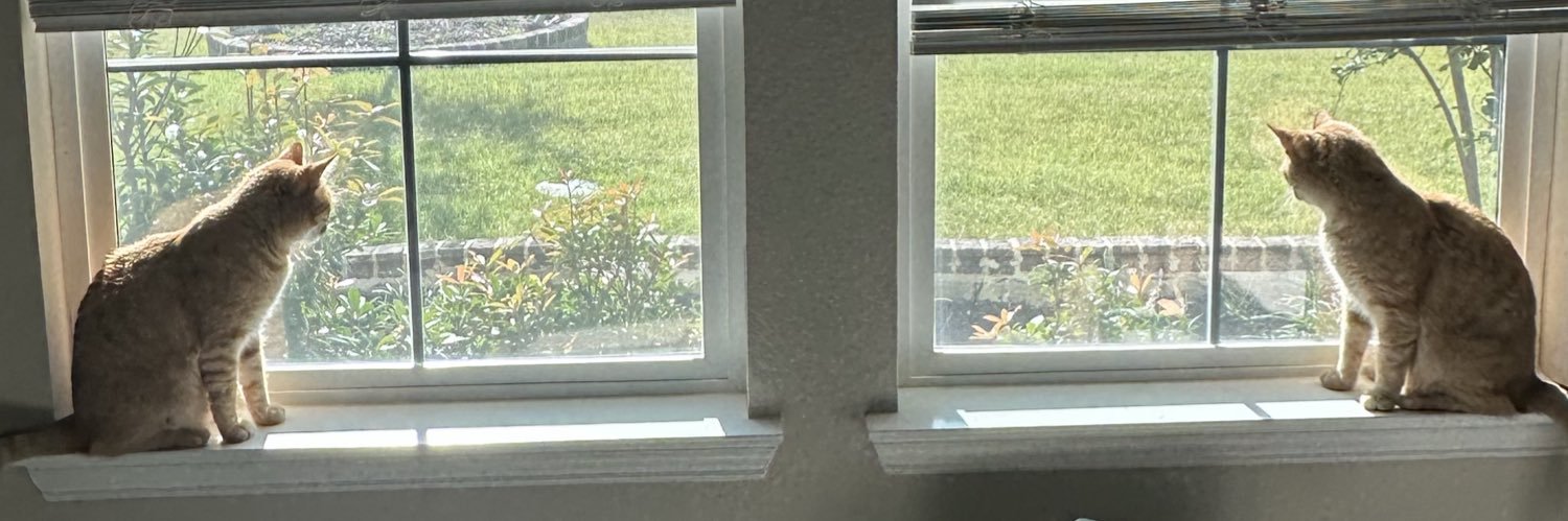 RaymondJr22's profile banner image