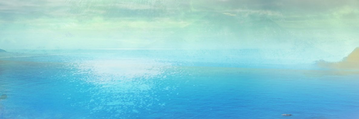 Ann Winter banner