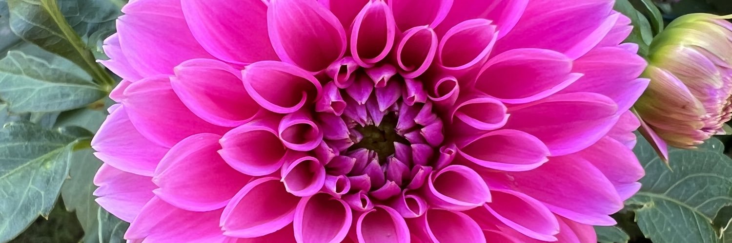 conniebcox1's profile banner image