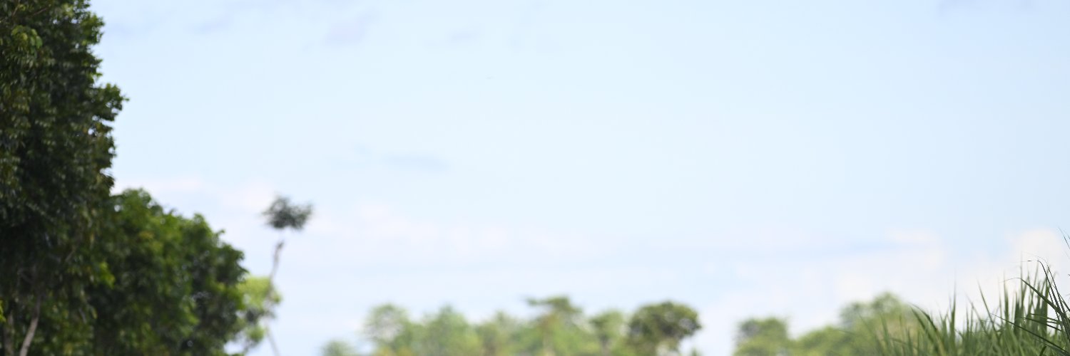 Gracia banner