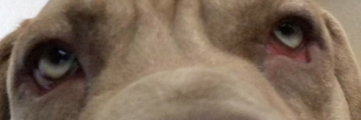 yuungmase's profile banner image